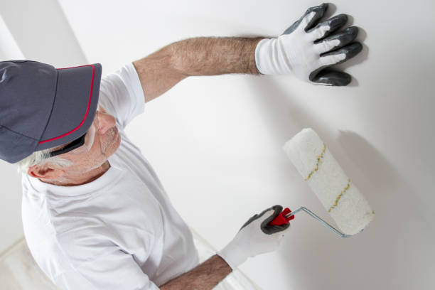 Best Post-Construction Mold Inspection  in Bernie, MO