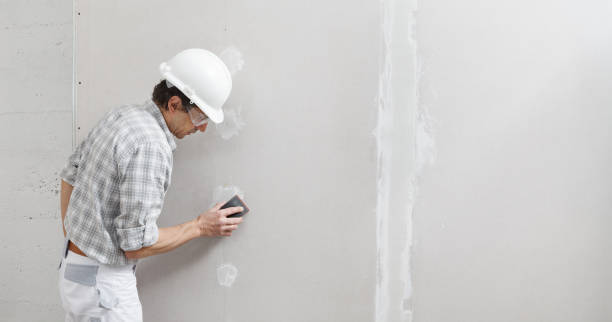 Biohazard Mold Removal in Bernie, MO