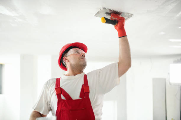 Best Mold Prevention Services  in Bernie, MO