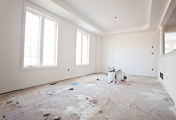 Best Black Mold Removal  in Bernie, MO