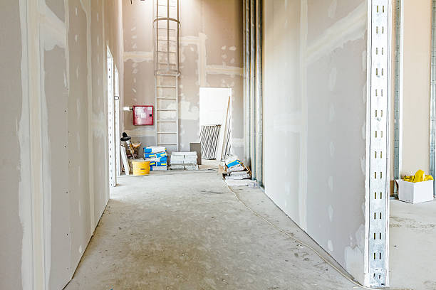 Best Attic Mold Removal  in Bernie, MO